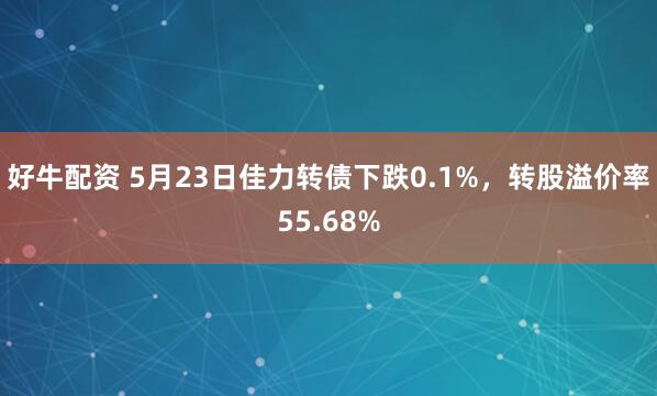 好牛配资 5月23日佳力转债下跌0.1%，转股溢价率55.68%