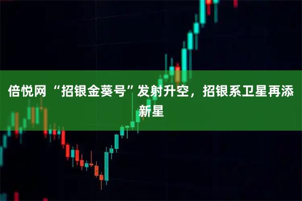 倍悦网 “招银金葵号”发射升空，招银系卫星再添新星
